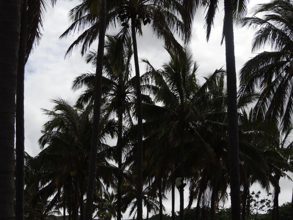 Cabanas Moenga Hanga Roa Luaran gambar