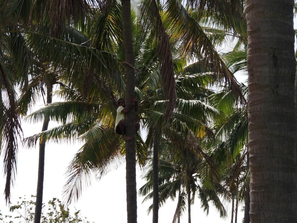 Cabanas Moenga Hanga Roa Luaran gambar